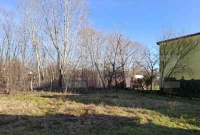 Casă cu 5 camere cu Teren 886 Mp în Ghiroda - 5