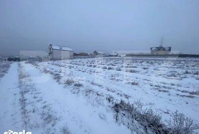 Teren de 1560 mp, în Burdujeni - 1