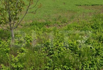 Teren 7500 mp intravilan, industrial/comercial, stradal in C - 1