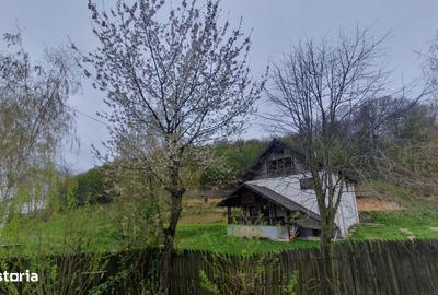 Casă cu 5 camere cu Teren 4000 Mp în Cricău - 11