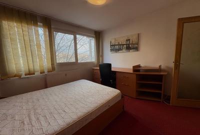 Apartament cu 2 camere decomandat în Giurgiului - 12