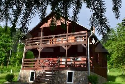 Casa de vacanta cu 4 camere,3300 mp teren,Valisoara - 11