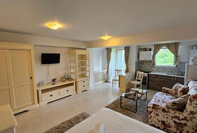 Garsoniera zona Otopeni (Aeroport) bloc NOU, Mobilata-Utilata MODERN - 6