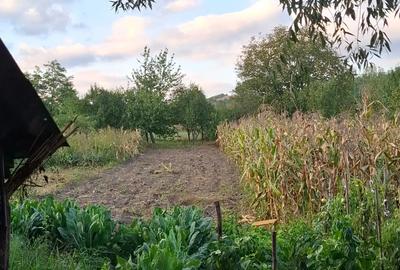 Casa de vanzare cu anexe - 3