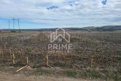 Teren de 8300 mp, în Oarda