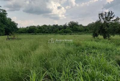 Gataia Teren Drept 1414 Mp Lot de Casa, 7 Euro Mp - 6