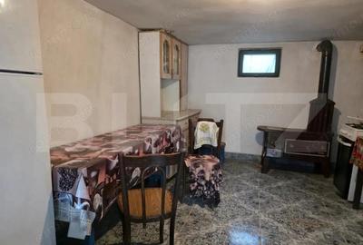 Casa cu teren generos ?i balta de pescuit Gae?ti - 13