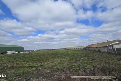 Spațiu comercial, în Topraisar - 6