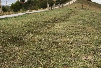 Teren de 4300 mp, în Poiana Mărului - 7