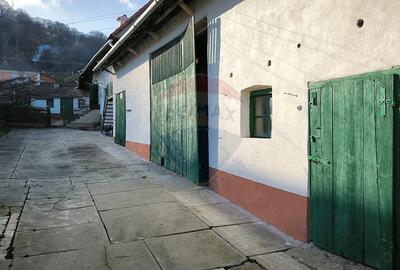 Casă cu 4 camere cu Teren 1084 Mp în Vale - 4