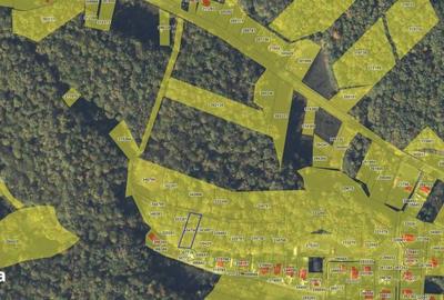 Teren de 1093 mp, în Făget - 1