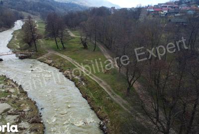 Teren de 3000 mp, în Corbeni - 4