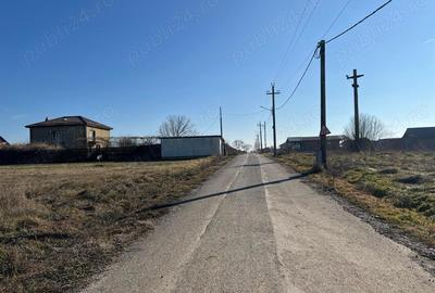 Gradistea -Ilfov, strada Nuferilor, teren intravilan 1000 mp 15m. - 12