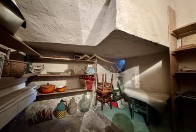 Vila cu 6 camere *310mp*  + Garaj // Primăverii - 48