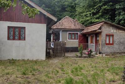 Casă cu 3 camere în Malu cu Flori - 1