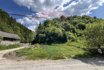 Teren de vanzare la munte cu rau in fata si priveliste superba - 8