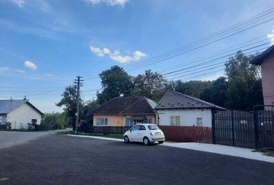 Casă cu 2 camere în Podul Vadului - 2