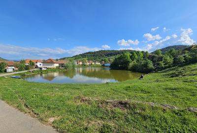 Casă individuală cu 3 camere cu Teren 962 Mp în Colești - 6