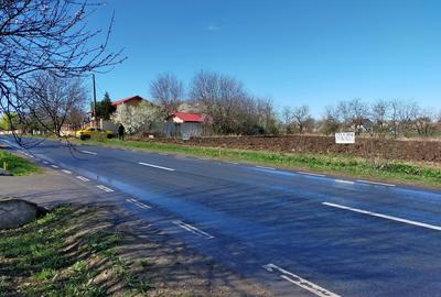 Teren în Dascălu - 8