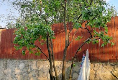 Casă cu 2 camere în Bârnova - 6