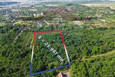 Teren agricol intravilan de 25961 mp, în Satu Nou de Jos - 3