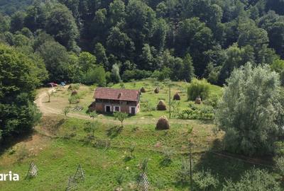 Teren de 6200 mp, în Cicănești - 3