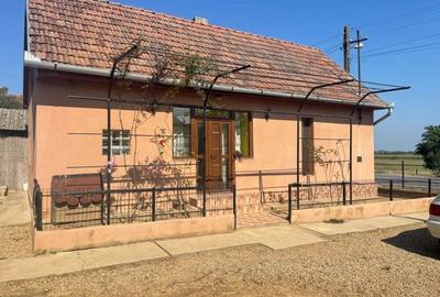 Casă cu 2 camere cu Teren 1439 Mp în Cadea - 7