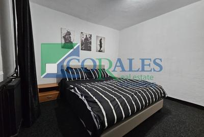 Apartament cu 2 camere semidecomandat, mobilat în Timocului-Șaguna - 5