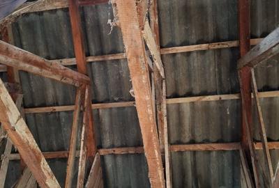 Vand la 300 m fata de dunare in pojejena Vand la 300 m fata de dunare in pojejena - 3