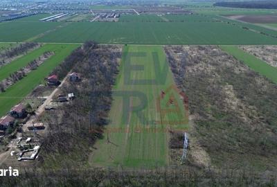 Teren de 2000 mp, în Săbăreni - 3