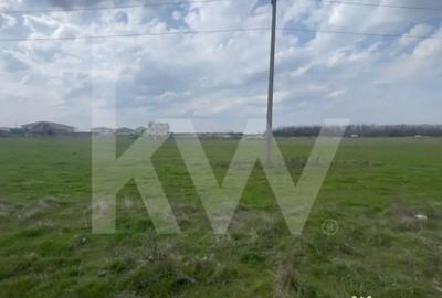 Teren în Cârcea - 4