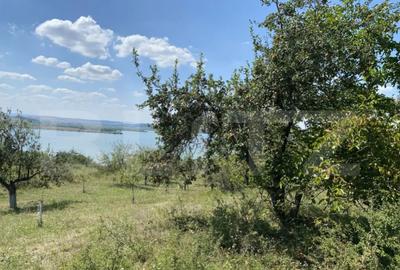 Teren de 3800 mp, în Recea - 1