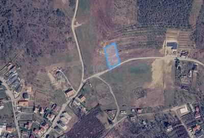 Teren Construcții intravilan de 968 mp, în Paleu - 2