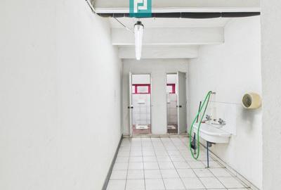 Hală de producție, cu birouri și teren, în Sebiș - 28