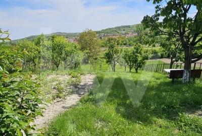 Casa cu poveste si potential – locul perfect pentru un nou inceput in Seica Mare - 20