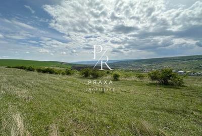 Teren agricol extravilan de 12700 mp, în Iris - 2