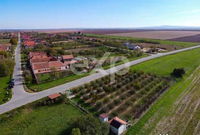 Teren în Sârbova - 5