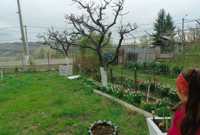 Casă cu 2 camere în Groșani - 7