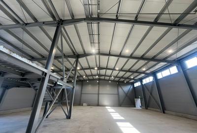 Zona Drumul intre Tarlale - hale noi - 600mp - 2