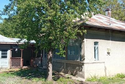 Casă cu 3 camere cu Teren 2588 Mp în Suhaia - 6