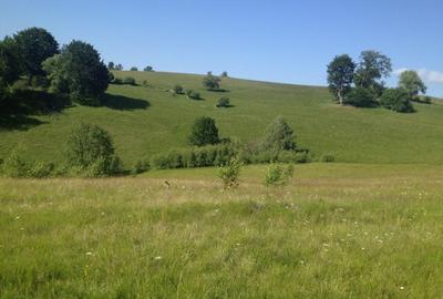 Vanzare teren Zona Crint -Tilisca in golul alpin, direct de la proprietar! - 4