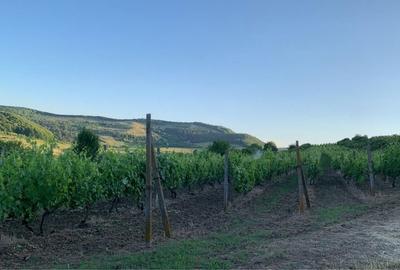 Spațiu comercial, în Lechința - 1