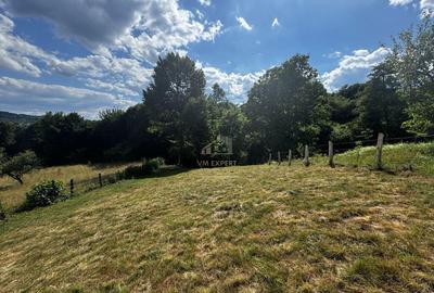 TEREN INTRAVILAN, SUPRAFA?A 3446 MP, BUGHEA DE SUS, ARGES - 8