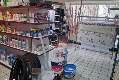 Spațiu comercial, de 350 mp, în Șepreuș - 3