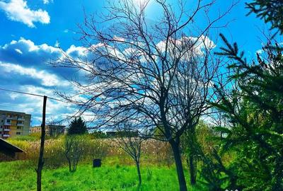 Teren de 9765 mp, în Independenței - 4