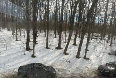 Casă individuală cu 7 camere cu Canalizare în Snagov - 24