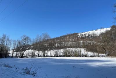Spațiu comercial, în Vârciorog - 4