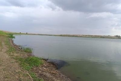 Teren extravilan de 10000 mp, în Gurbănești - 3