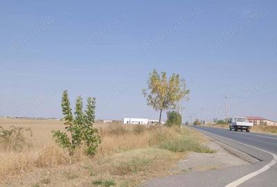 Mihailesti - Giurgiu, vav de Dovinot Ballroom, 57.000 mp. teren cu deschidere la DN6 - 1