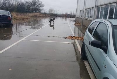 Casă cu 4 camere în Central - 1